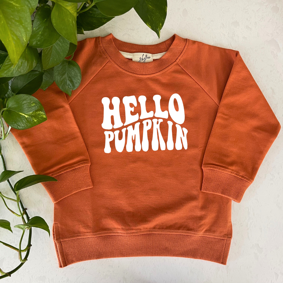 Hello Pumpkin Organic Pullover