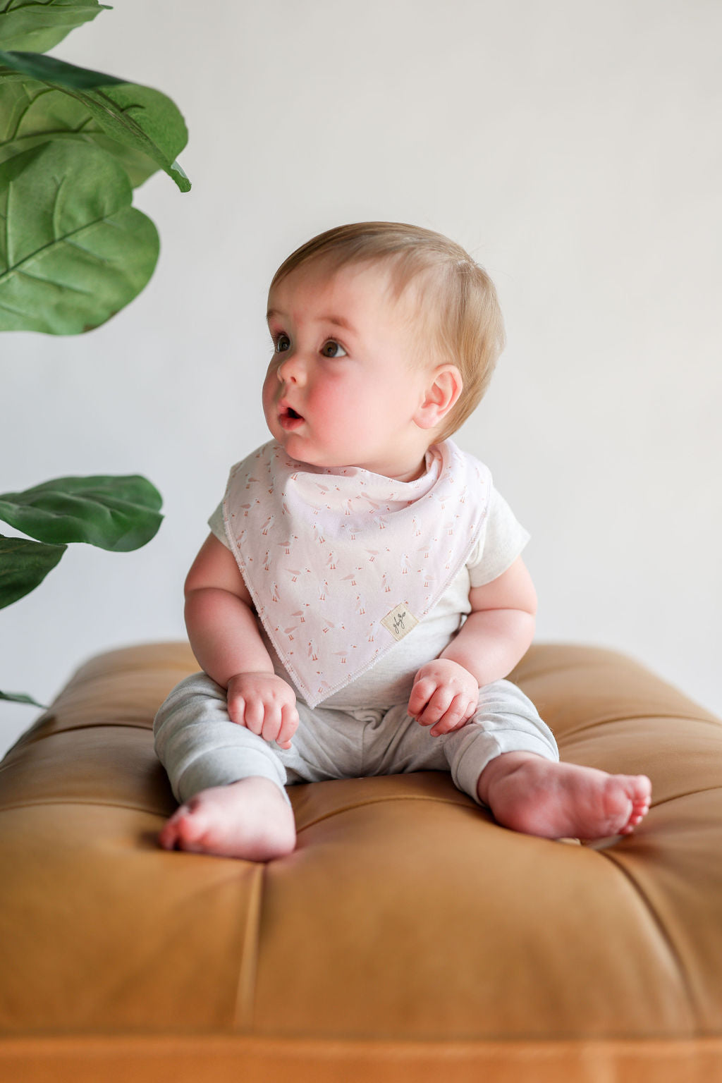 Organic Bandana Bib in Sandy Seagulls