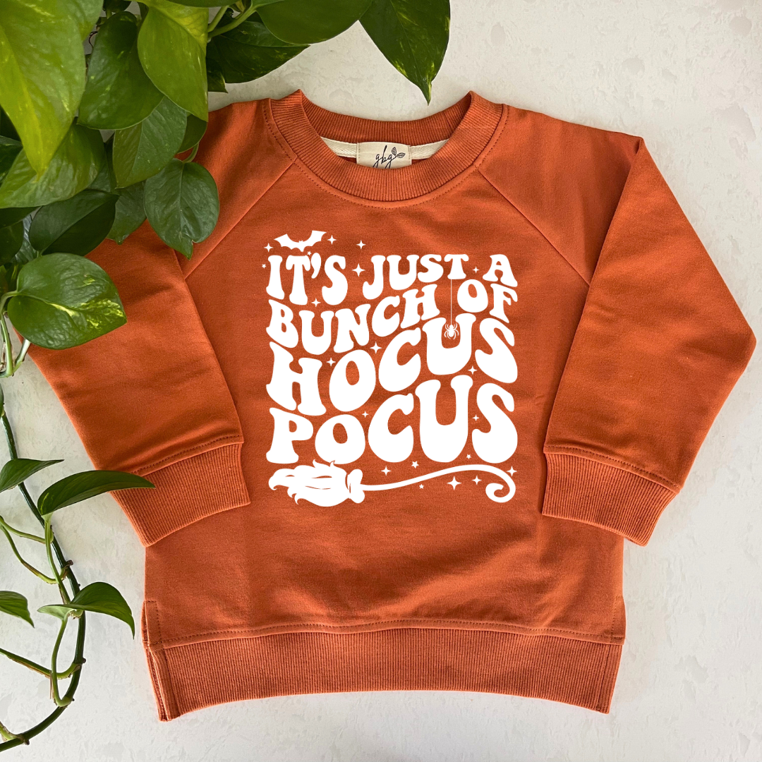 Hocus Pocus Organic Pullover