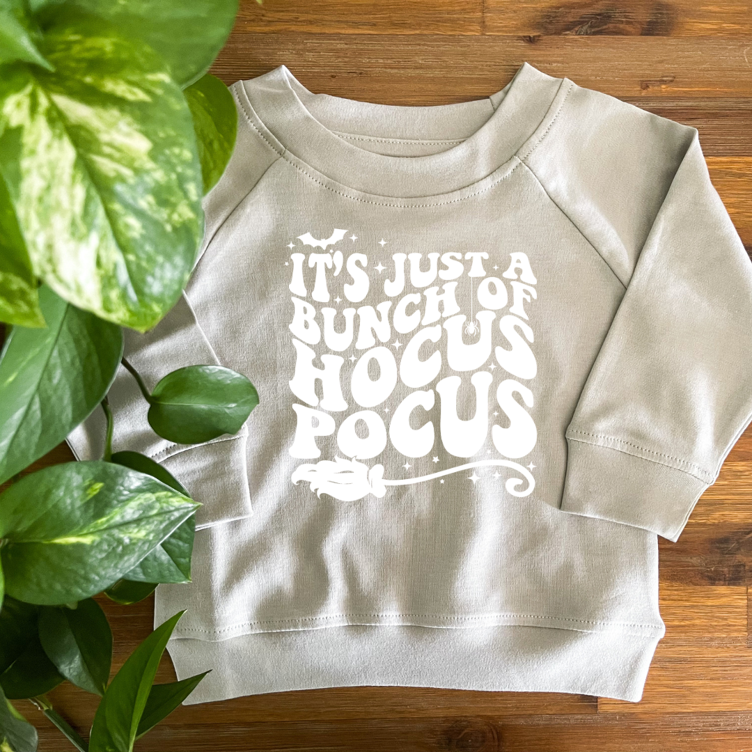 Hocus Pocus Organic Pullover