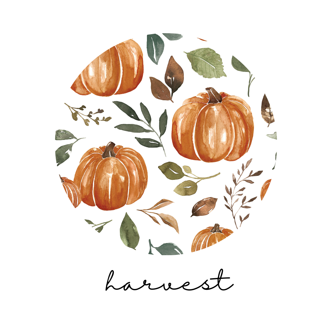 Organic Bandana Bib in Harvest