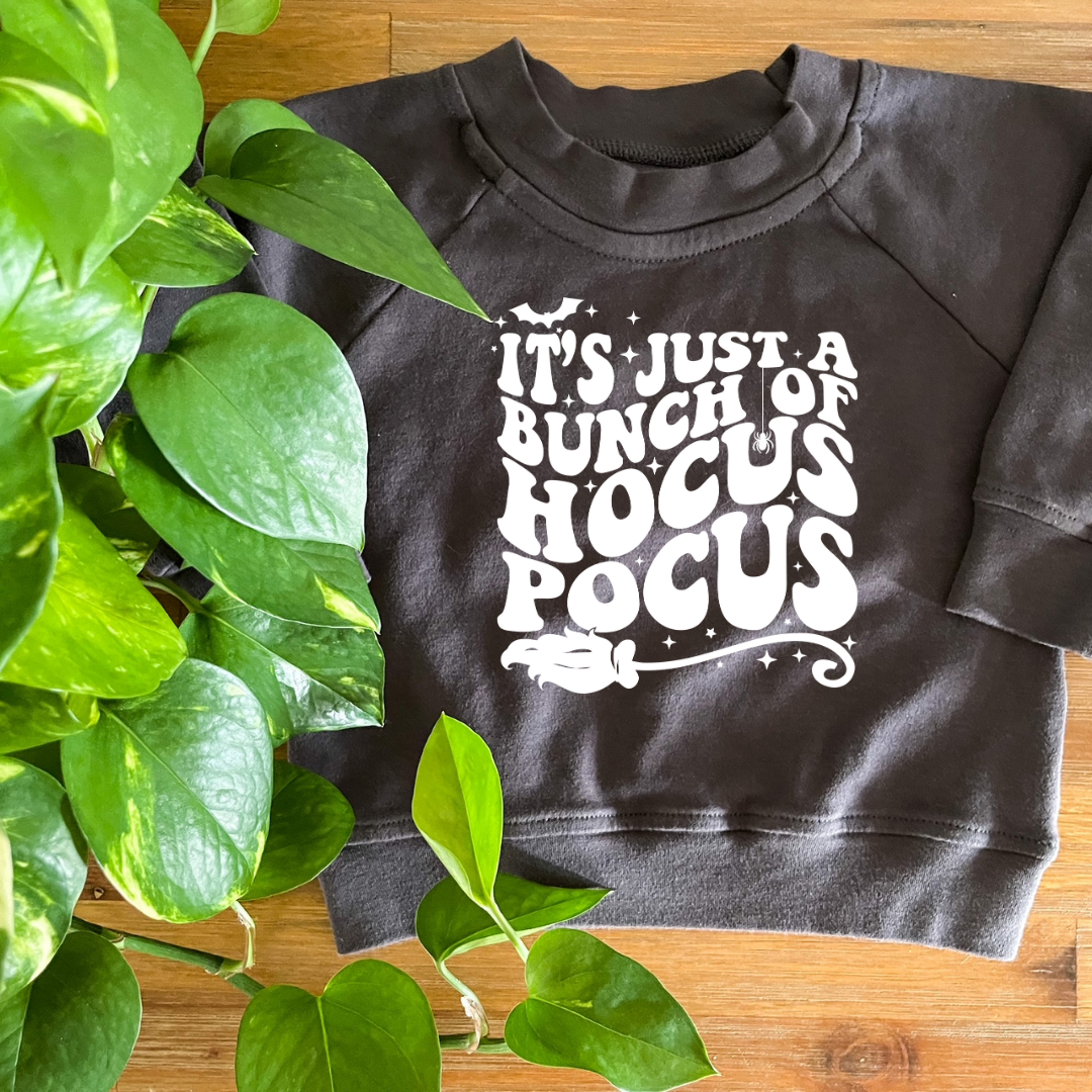 Hocus Pocus Organic Pullover