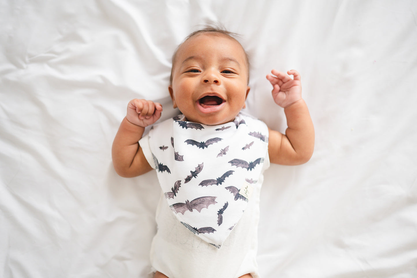 Organic Bandana Bib in Busy Bats