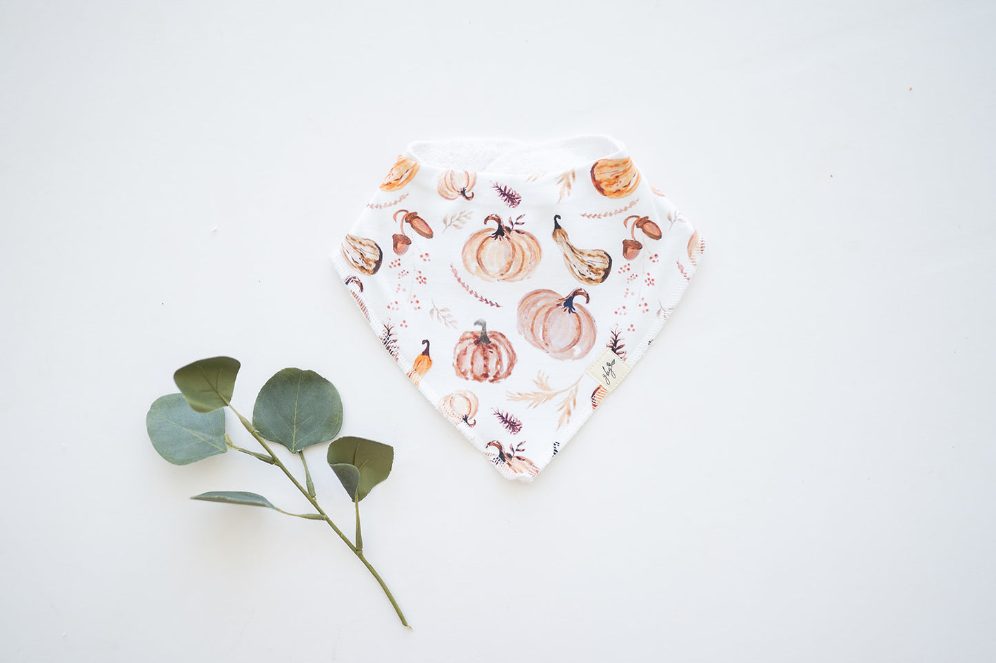 Organic Bandana Bib in Golden Gourds