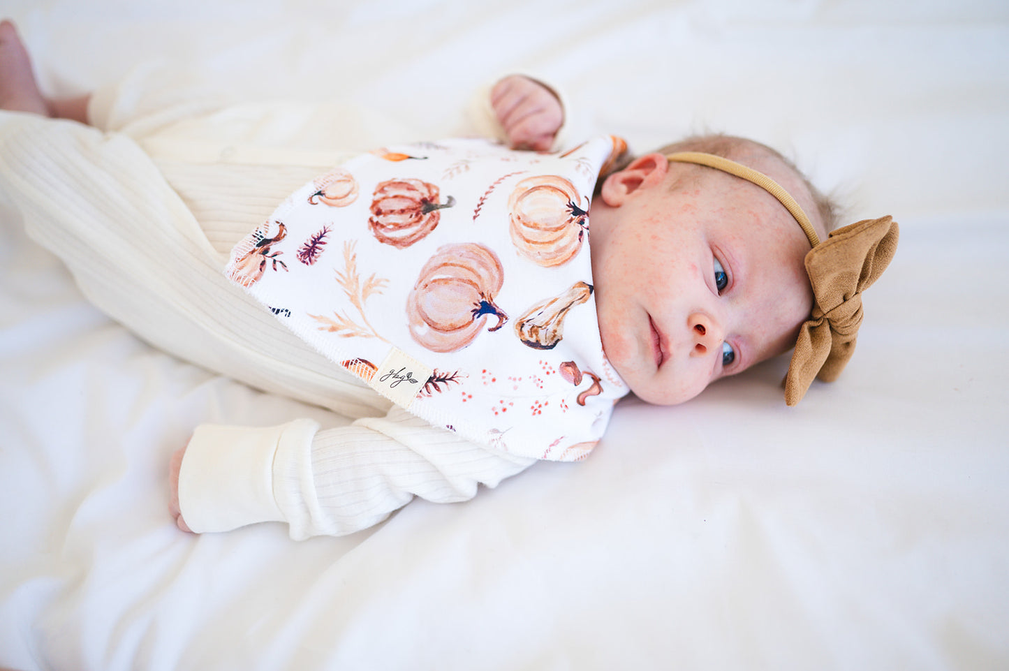 Organic Bandana Bib in Golden Gourds