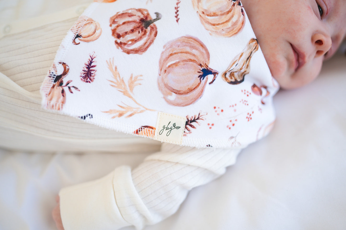 Organic Bandana Bib in Golden Gourds