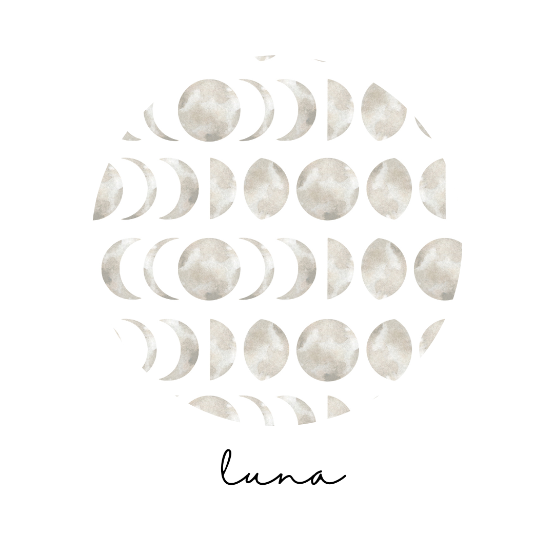 Organic Newborn Hat + Gown Set in Luna