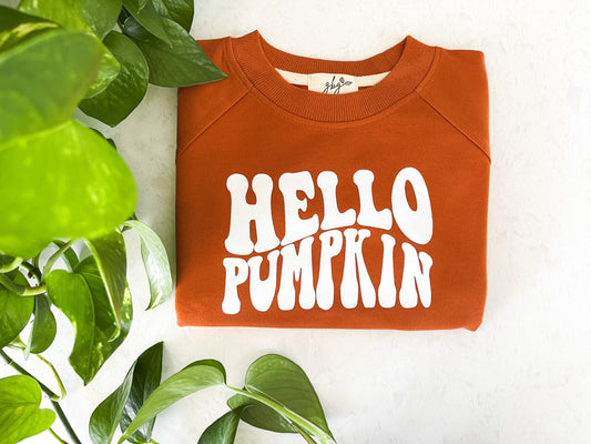 Hello Pumpkin Organic Pullover in Pumpkin