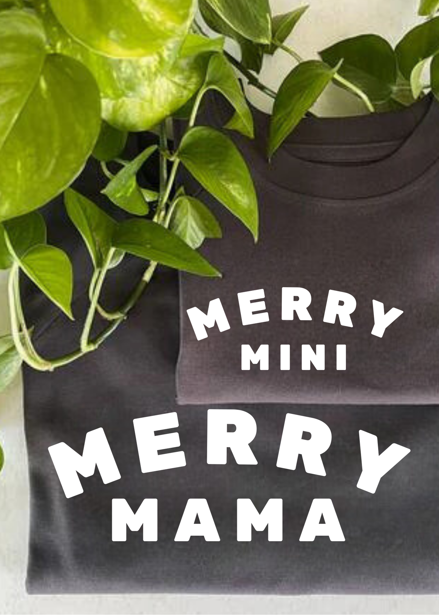 Merry Mini Organic Toddler Pullover