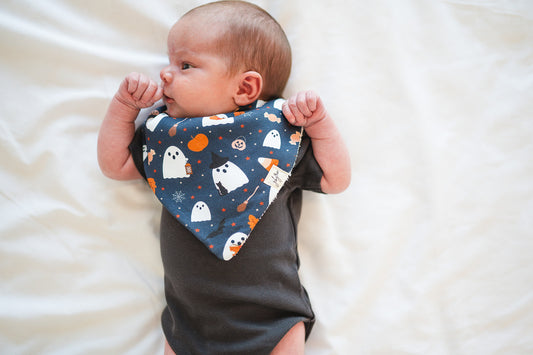 Organic Bandana Bib