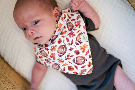 Organic Bandana Bib