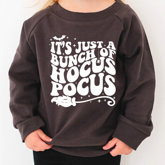 Hocus Pocus Organic Pullover