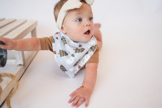 Organic Bandana Bib