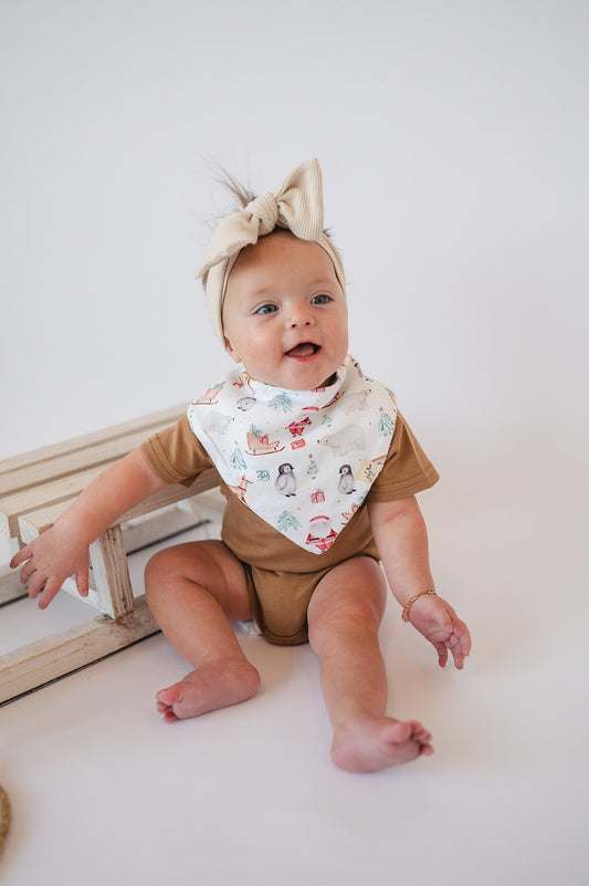 Organic Bandana Bib