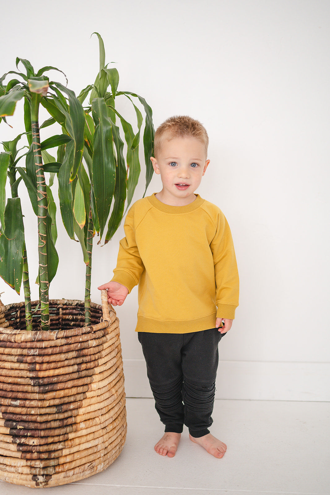 Organic Toddler Pullover