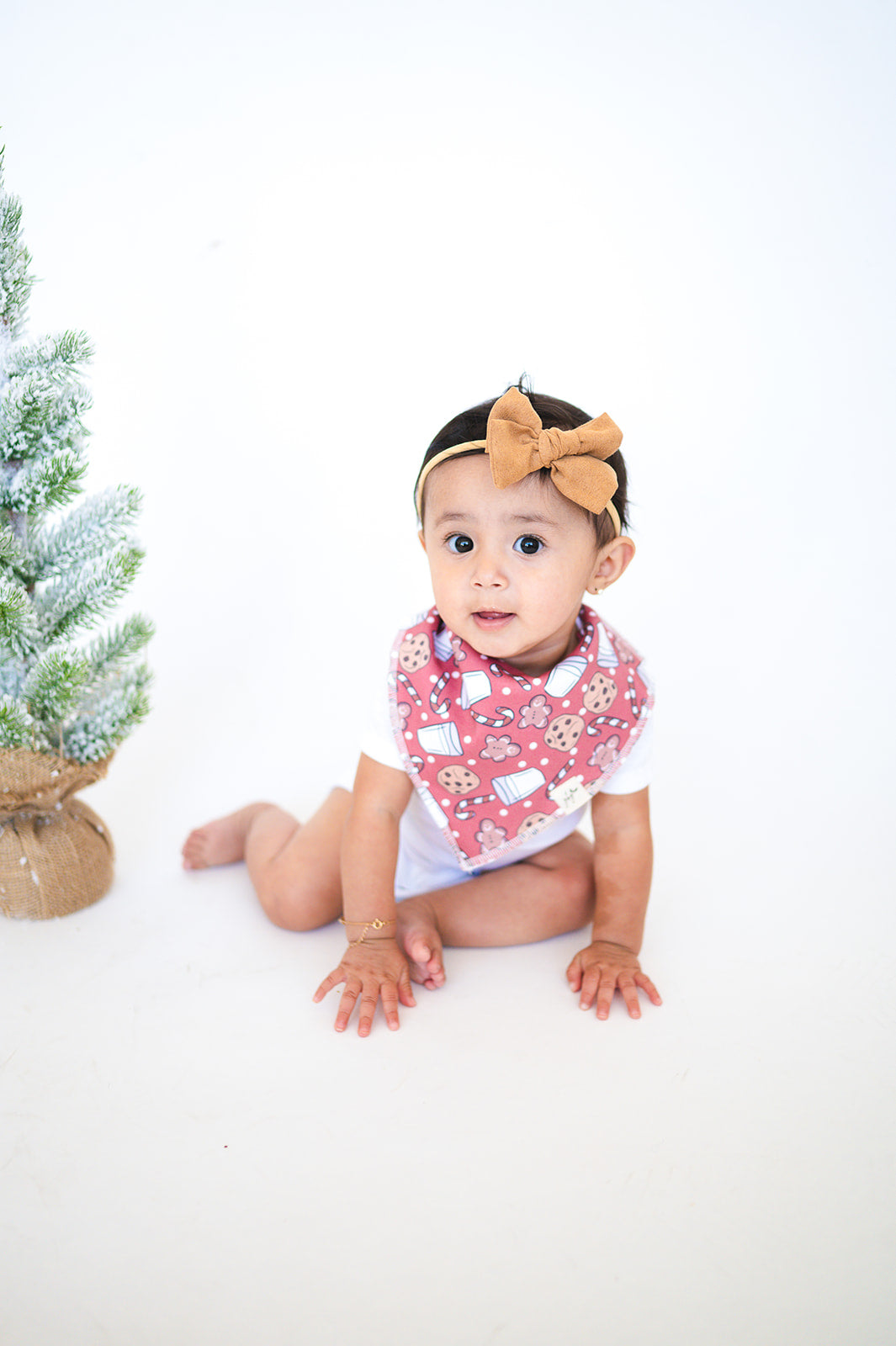 Organic Bandana Bib