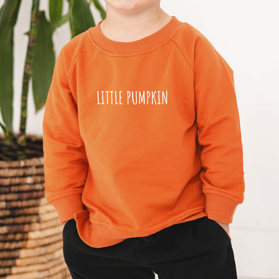 Little Pumpkin V2 Organic Pullover