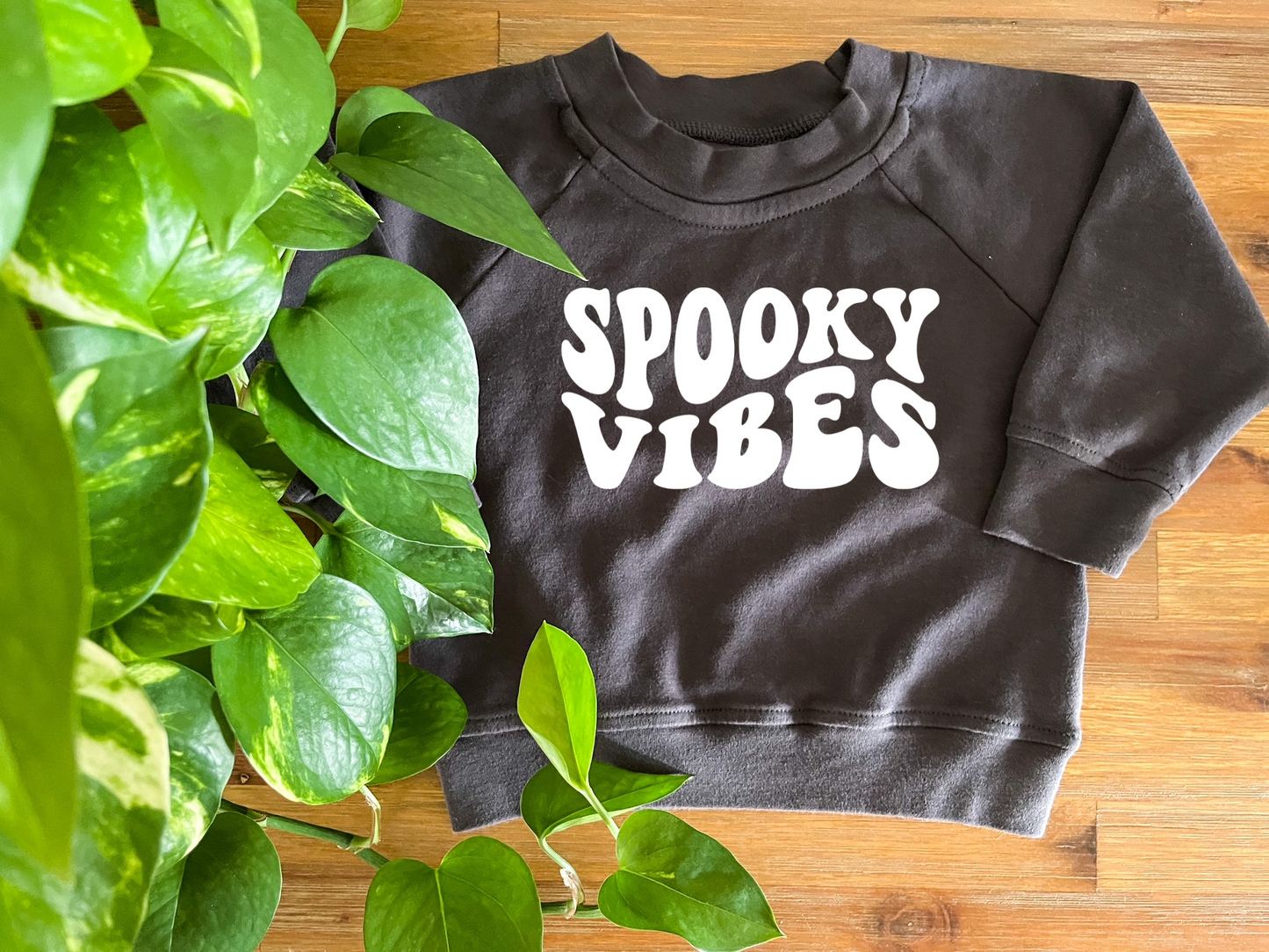 Spooky Vibes Organic Pullover