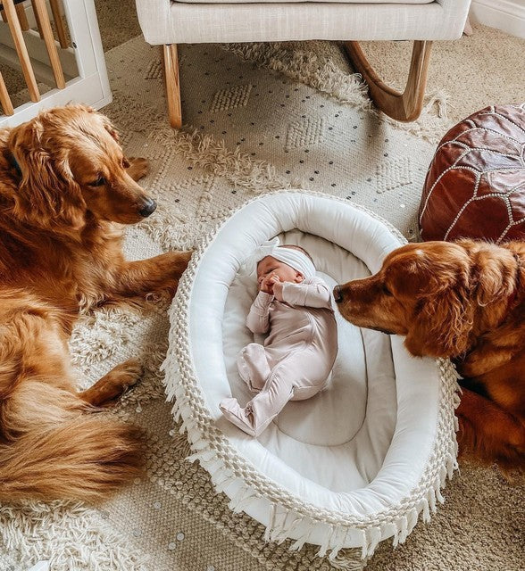 Finn and emma 2024 macrame play gym