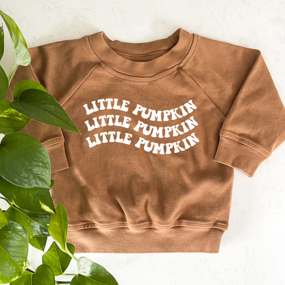 Little Pumpkin Organic Pullover