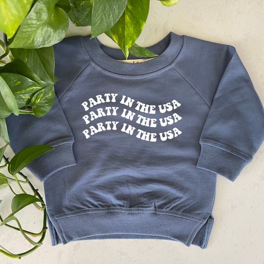 Party in the USA Organic Pullover