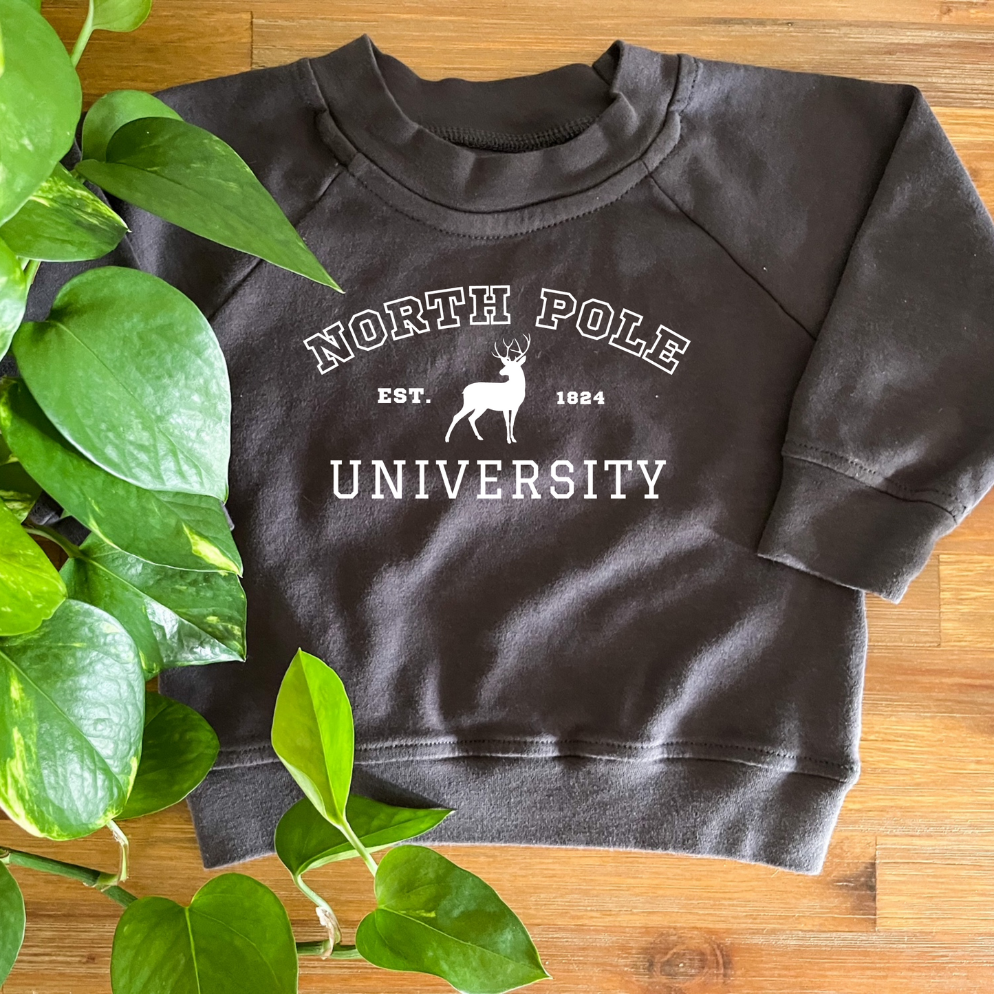 North Pole University Organic Pullover