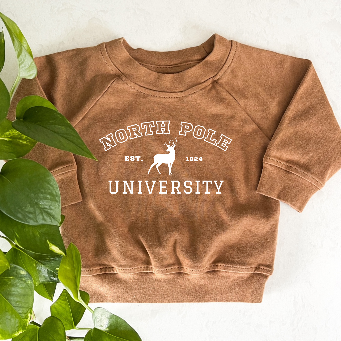 North Pole University Organic Pullover