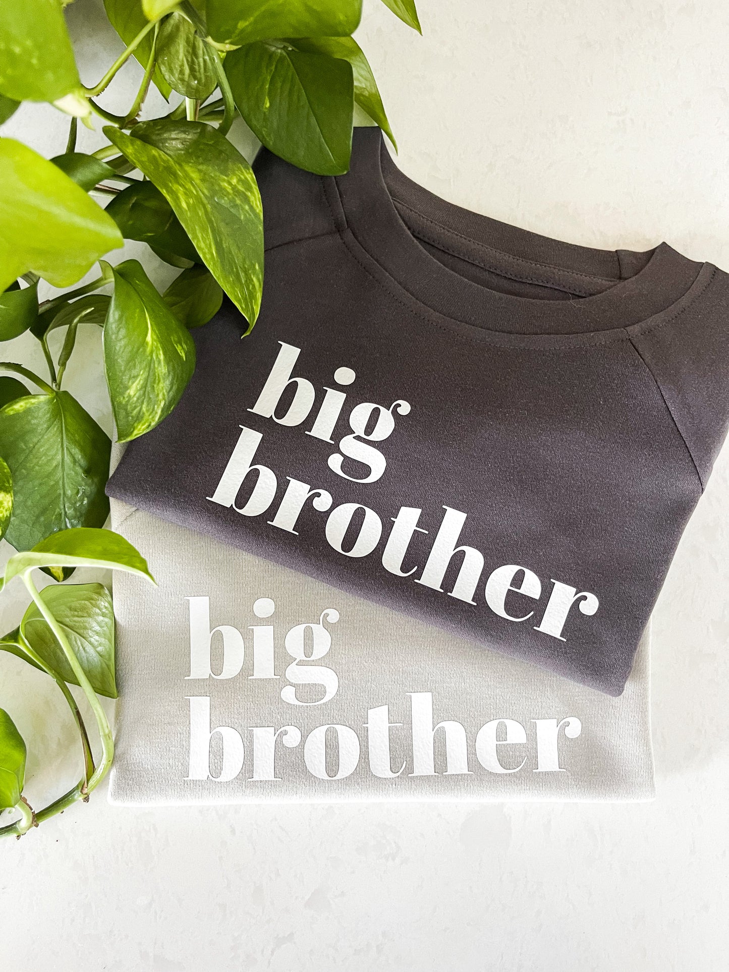 Big Brother Organic Pullover