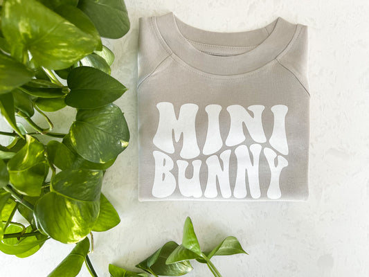Mini Bunny Organic Pullover