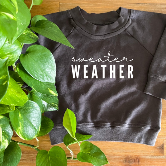 Sweater Weather Organic Pullover